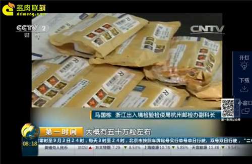 海淘多肉种子有哪些风险 图片