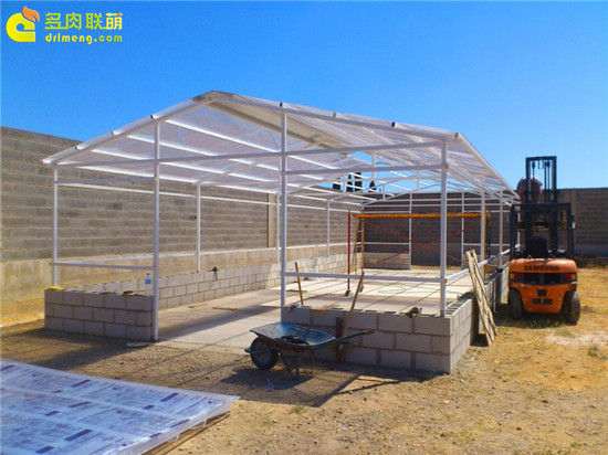 西班牙人怎么修建多肉大棚的过程