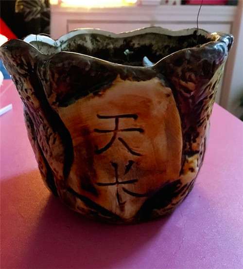 怎么收集制作多肉植物的常用工具 图片