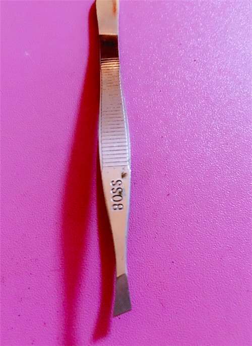 怎么收集制作多肉植物的常用工具 图片