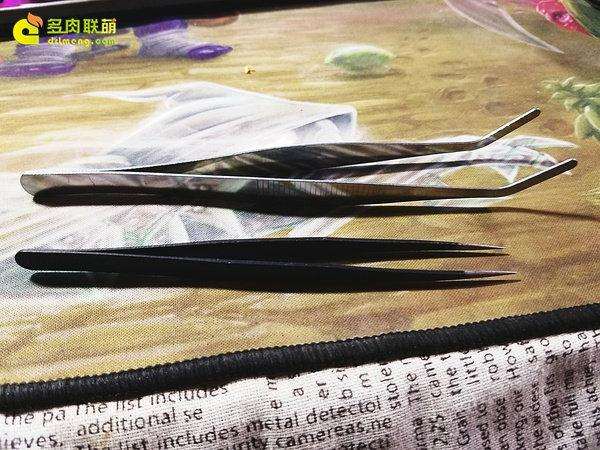 种植多肉植物的5个必备工具