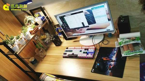 种植多肉植物的5个必备工具