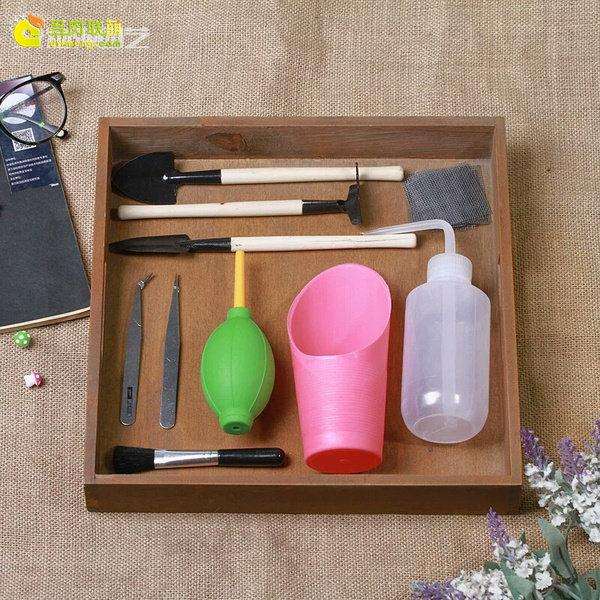 种植多肉植物的5个必备工具