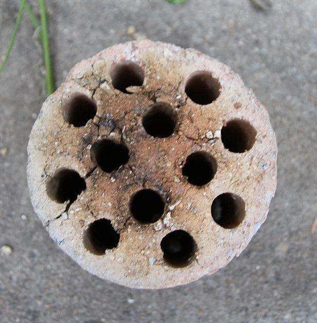 多肉花盆里放煤渣有什么好处