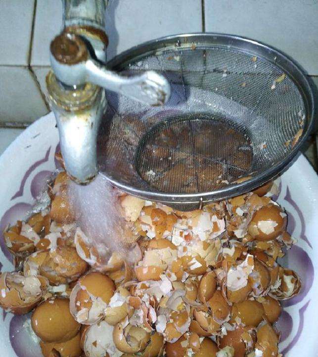 多肉花盆里放碎蛋壳