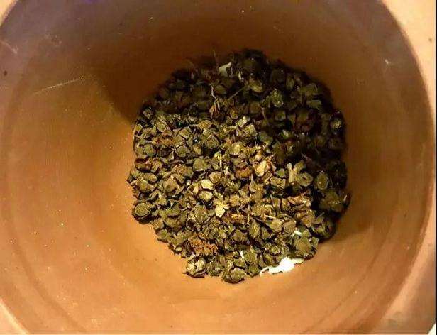 多肉花盆里放种子核