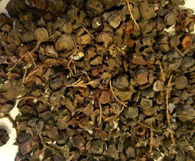 多肉花盆里放种子核