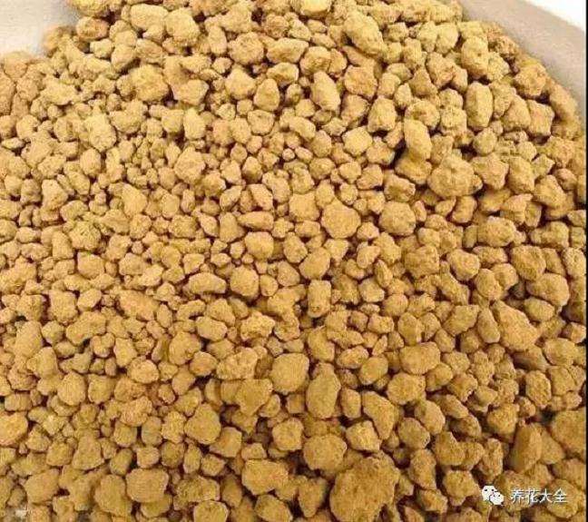 生石花多物度夏用什么土壤最好