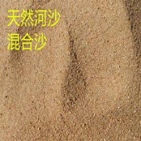 多肉的土壤不要用黄沙