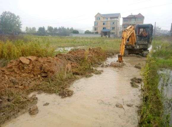 在农村搞了4亩地准备建多肉大棚