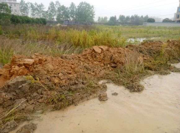 在农村搞了4亩地准备建多肉大棚