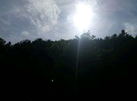 在农村搞了4亩地准备建多肉大棚