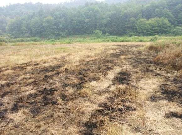 怎么搭建多肉大棚的方法