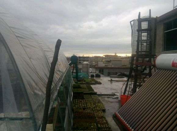 怎么搭建多肉大棚的方法