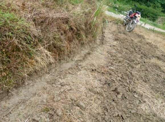 怎么搭建多肉大棚的方法