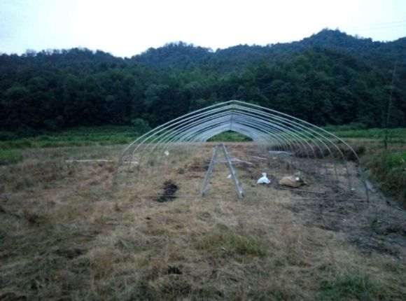 怎么搭建多肉大棚的方法