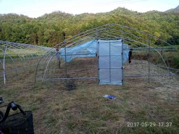 怎么搭建多肉大棚的方法