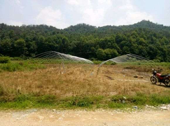 怎么搭建多肉大棚的方法