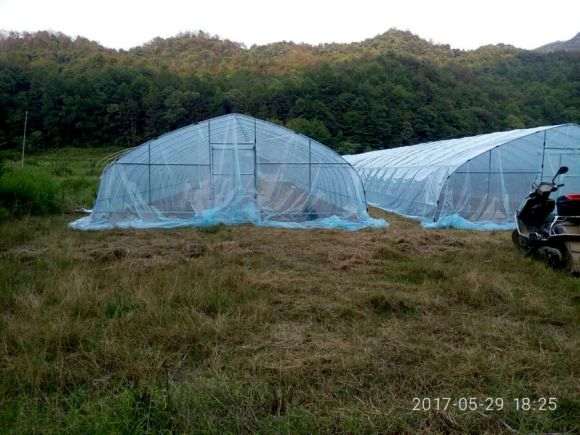 怎么搭建多肉大棚的方法