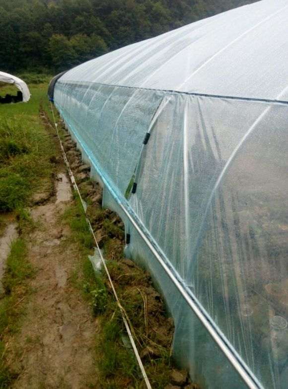 我搭建的多肉大棚