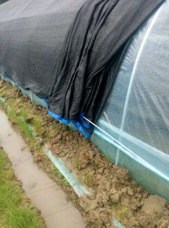 我搭建的多肉大棚