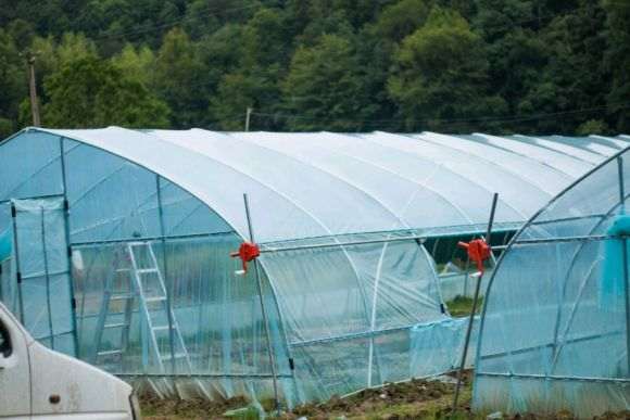 搭建多肉大棚怎么松土