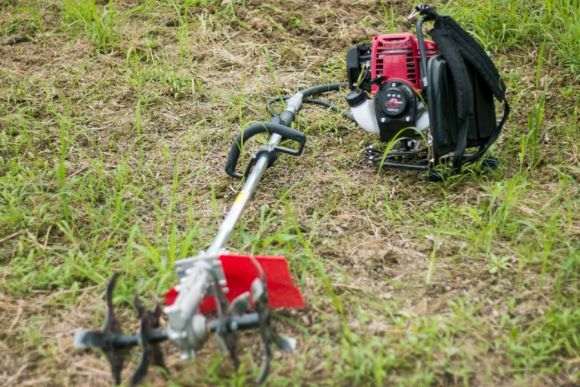 搭建多肉大棚怎么松土