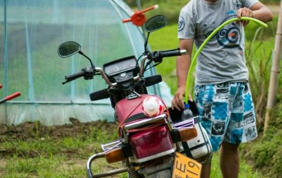 搭建多肉大棚怎么松土