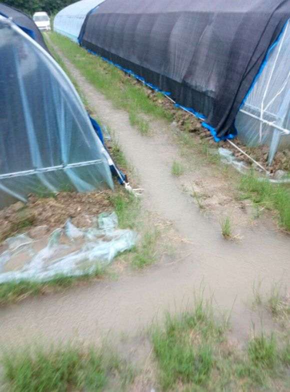 搭建多肉大棚怎么铺砖的方法