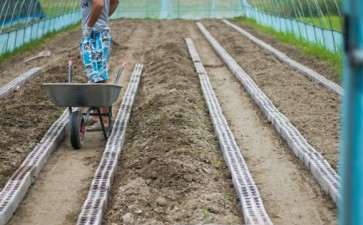 搭建多肉大棚怎么铺砖的方法 图片