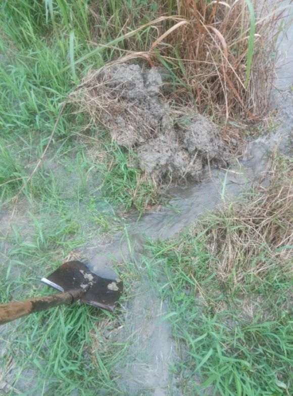 我搭建的多肉大棚被淹了