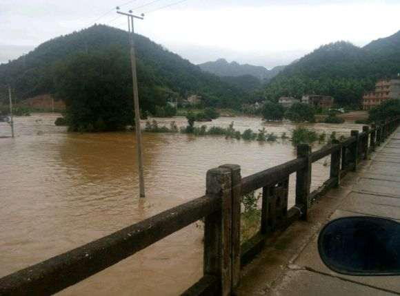 我搭建的多肉大棚被淹了