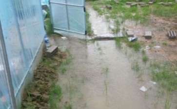 我搭建的多肉大棚被雨水冲成这样了