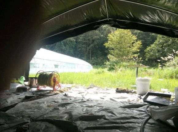 多肉大棚怎么铁架和砖架