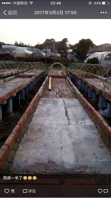 多肉大棚怎么铁架和砖架