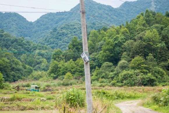 搭建多肉大棚怎么装电铺路 我的图片