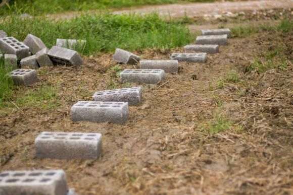 搭建多肉大棚怎么装电铺路