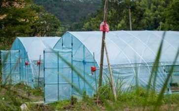 搭建多肉大棚怎么装电铺路 我的图片