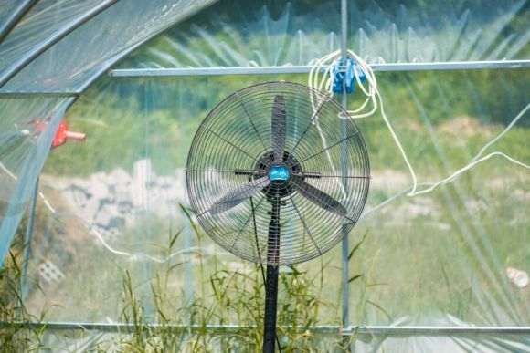 搭建多肉大棚进度有点慢