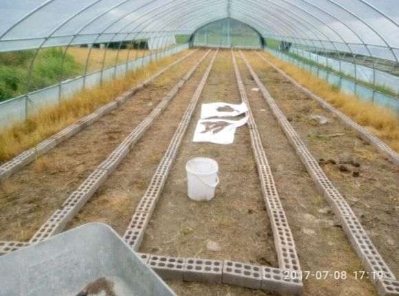 搭建多肉大棚进度有点慢