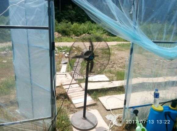 搭建多肉大棚进度有点慢