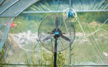 天气太热了 搭建多肉大棚进度有点慢