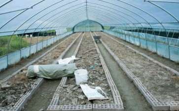 今天继续搭建多肉大棚 感觉时间不够了