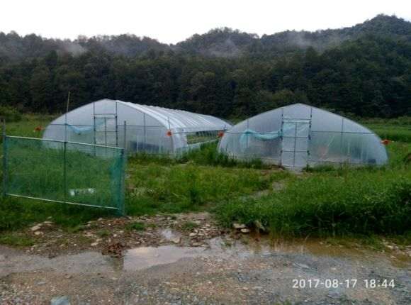 多肉大棚的原理是什么