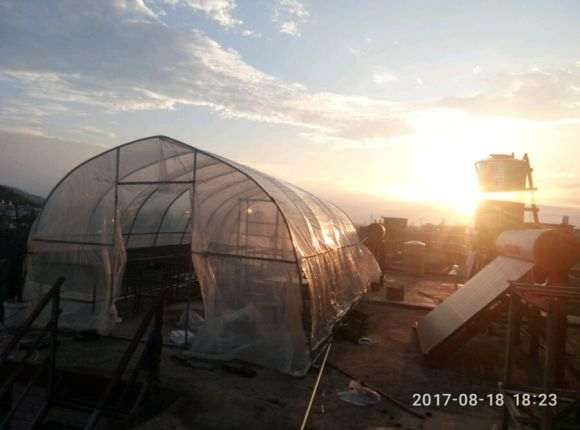 我搭建的多肉大棚都吹烂了