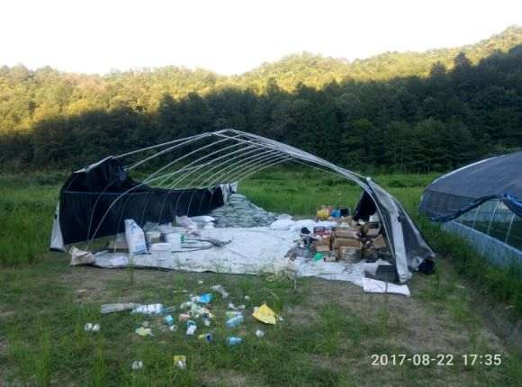 我搭建的多肉大棚都吹烂了