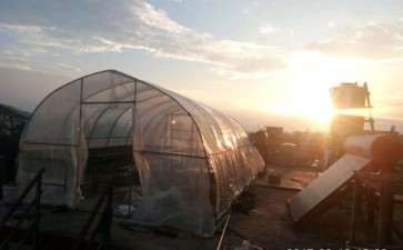 风太大了 我搭建的多肉大棚都吹烂了