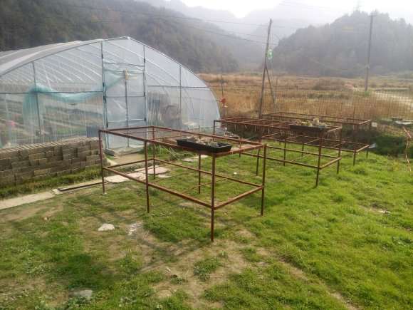 开始搭建多肉大棚的架子了 怎么样