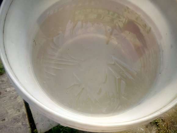 开始搭建多肉大棚的架子了 怎么样