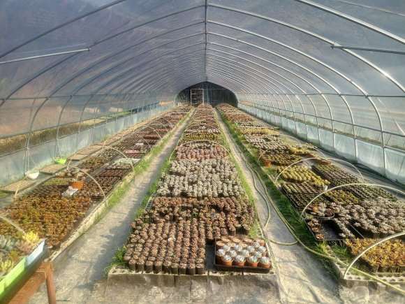 搭建多肉大棚用的两层膜